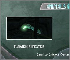 Musisz się śpieszyć - 15 Black Isle | Beyond Good & Evil - Beyond Good & Evil - poradnik do gry