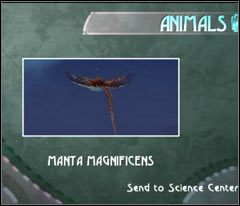 Wracaj do okolic stacji naprawczej - 46 Hillys | Beyond Good & Evil - Beyond Good & Evil - poradnik do gry