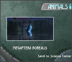 Jest tu jeszcze jeden okaz do sfotografowania - 46 Hillys | Beyond Good & Evil - Beyond Good & Evil - poradnik do gry