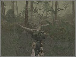 Teraz udaj się bardziej w górę strumienia, zostawiając most w spokoju - Anthill | Operation Stranger | Hidden and Dangerous 2 - Hidden and Dangerous 2 - poradnik do gry