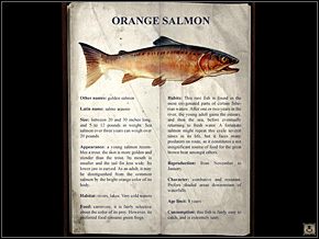 5 - Daleka Północ (2) | Solucja Syberia II - Syberia II - opis przejścia - poradnik do gry