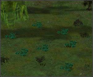 Pamiętaj o regularnym zapisywaniu stanu gry - 5.10 [ROZDZIAŁ 2] Northern Windwalls cz.1 | SpellForce Zakon Świtu - SpellForce: Zakon Świtu - poradnik do gry