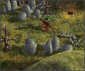 W okoliczny znajdziesz jeszcze jeden Bindstone (na płd-zach od Kirsha) - 5.11 [ROZDZIAŁ 2] Southern Windwalls cz.3 | SpellForce Zakon Świtu - SpellForce: Zakon Świtu - poradnik do gry