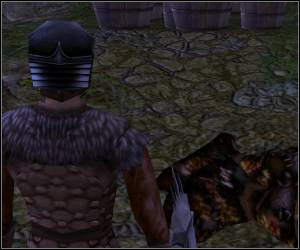 Porozmawiaj z Svartlarem, przekaż mu wszystkie zdobyte składniki - 5.11 [ROZDZIAŁ 2] Southern Windwalls cz.3 | SpellForce Zakon Świtu - SpellForce: Zakon Świtu - poradnik do gry