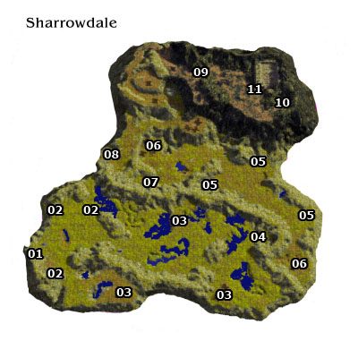 01 - miejsce startu - 5.24 [ROZDZIAŁ 3] Sharrowdale - Mapa | SpellForce Zakon Świtu - SpellForce: Zakon Świtu - poradnik do gry