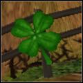 Czterolistna kończyna - przywraca energię życiową i zwiększa jej pasek, dzięki czemu stajesz się bardziej wytrzymały - Poradnik do gry - Przedmioty | Shrek 2 The Game - Shrek 2: The Game - poradnik do gry