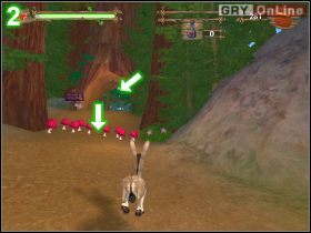 Biegnij przed siebie, a następnie (po animacji) odwróć się i biegnij w stronę jeziorka - [POZIOM 06] Shrek Rescues Donkey cz.1 | Shrek 2 The Game - Shrek 2: The Game - poradnik do gry