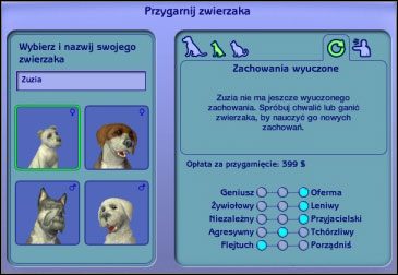 Kiedy zapragniecie mieć psa lub kota, możecie przygarnąć go przez telefon - Jak stać się właścicielem zwierząt? | Zwierzaki | The Sims 2 - The Sims 2 - Pełna Kolekcja - poradniki