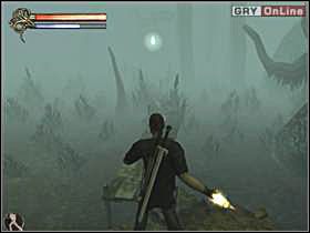 Teraz po prostu musisz wypatrywać pochodni i biec do nich - światło będzie widoczne w oddali - 28 - Bagna cz.2 - Shade: Gniew Aniołów - poradnik do gry
