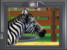 Twoim kolejnym celem będzie zbudowanie zagrody i zaspokojenie potrzeb dwóch jaguarów - Nowe Zoo | Trening | Zoo Tycoon 2 - Zoo Tycoon 2 - poradnik do gry