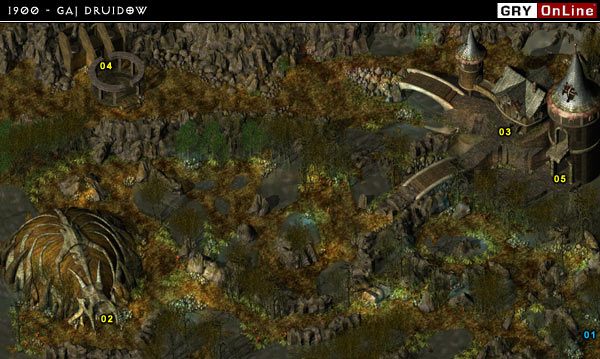 Po wejściu do lokacji spotykamy pomocnego druida który informuje nas iż nowa przywódczyni druidów Faldron to osoba porywcza i agresywna - 1900 - Gaj Druidów | Baldurs Gate II Cienie Amn - Baldurs Gate II: Cienie Amn - poradnik do gry