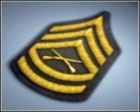 4 - Bronie ukryte - Stopnie | Bronie | Battlefield 2 - Battlefield 2 - poradnik do gry