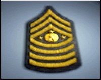 Sergeant Major - 250000 punktów * - Bronie ukryte - Stopnie | Bronie | Battlefield 2 - Battlefield 2 - poradnik do gry