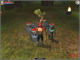 Czwarty Relic of Power odnajdziesz w Shadow Ruins, za Battlefields of the Dead - Savage Lands - Savage Lands | Savage Lands i Isle of the Damned | Dungeon Lords - Dungeon Lords - poradnik do gry