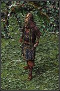 Glorb to rodzaj potwora, na którego natkniemy się nieopodal - Questy 1-5 | Solucja | Sacred Podziemia - Sacred: Podziemia - poradnik do gry