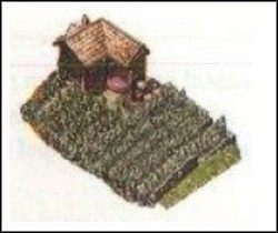 Winnica - Inne budynki (3) | Budynki w Patrician III Rise of the Hanse - Patrician III: Rise of the Hanse - poradnik do gry