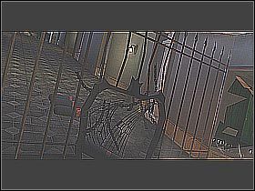 2 - [22] Twisted Park - Zoo Entrance cz.3 | BloodRayne 2 - BloodRayne 2 - poradnik do gry