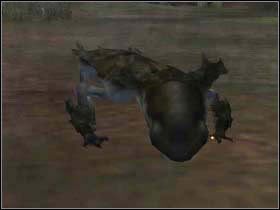 Zaczynasz w tym miejscu, biegnij przed siebie - Poradnik do gry - Idź do Świstokliku | Harry Potter i Czara Ognia - Harry Potter i Czara Ognia - poradnik do gry