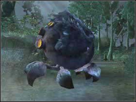 2 - Zakazany Las cz.5 | Harry Potter i Czara Ognia - Harry Potter i Czara Ognia - poradnik do gry