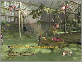 5 - Zielarstwo cz.2 | Harry Potter i Czara Ognia - Harry Potter i Czara Ognia - poradnik do gry