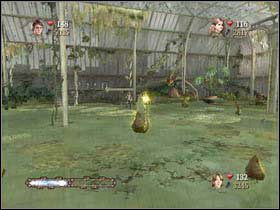 Po znikającą kartę udaj się schodami do góry - Zielarstwo cz.6 | Harry Potter i Czara Ognia - Harry Potter i Czara Ognia - poradnik do gry