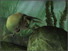 3 - Zadanie 2 Turnieju Trójmagicznego - Jezioro | Harry Potter i Czara Ognia - Harry Potter i Czara Ognia - poradnik do gry