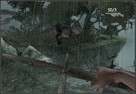 Jeśli się pospieszysz i pobiegniesz za Carlem (w miejsce gdzie podczas walki przebiegałeś przez łuk w małej ścianie) zobaczyć będziesz mógł odchodzącego napastnika między drzewami - [Solucja] V-Rex cz.2 | Peter Jacksons King Kong - Peter Jacksons King Kong - poradnik do gry
