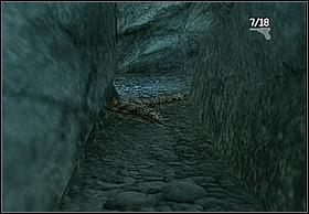 Kiedy dopłyniesz do miejsca, gdzie możesz wyjść z rzeki przejdź przez dłuższy tunel, w którym nieprzyjaciel również próbować będzie swoich sił - [Solucja] Hayes cz.2 | Peter Jacksons King Kong - Peter Jacksons King Kong - poradnik do gry