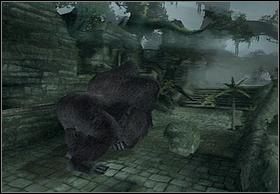 Gdy pojawi się obraz z gry ujrzysz Ann niesioną przez potwora, poczym zmieni się układ kamery i do akcji wkroczy Kong, oczywiście Ty nim będziesz sterować - [Solucja] Kong cz.1 | Peter Jacksons King Kong - Peter Jacksons King Kong - poradnik do gry