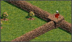 1 - Struktury obronne | Budynki w Age of Empires - Age of Empires - poradnik do gry