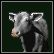 Domestication - Market | Technologie w Age of Empires - Age of Empires - poradnik do gry