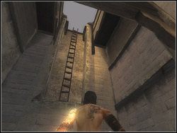Po kilku naprzemiennych skokach dosięgniesz reliefu tkwiącego wysoko w murze na lewo, wbij w niego sztylet - [18] The Dark Alley (mroczna aleja) | Prince of Persia Dwa Trony - Prince of Persia: Dwa Trony - poradnik do gry