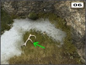 Deer antlers (#11 ) - Przedmioty | Pierwsza jaskinia | Secret of the Lost Cavern - Secret of the Lost Cavern: Tajemnica Zaginionej Jaskini - poradnik do gry