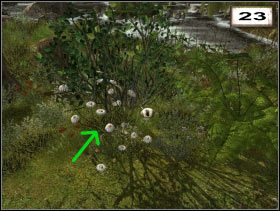 Camomile (#24 ) - Przedmioty | Dolina | Secret of the Lost Cavern - Secret of the Lost Cavern: Tajemnica Zaginionej Jaskini - poradnik do gry