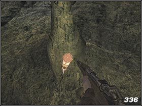 Dotrzesz do jaskini - [Solucja] Devils Reef cz.1 | Call of Cthulhu Mroczne Zakątki Świata - Call of Cthulhu: Mroczne Zakątki Świata - poradnik do gry