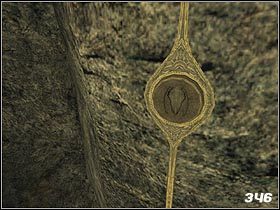 Wejdź w głąb jaskini - [Solucja] Devils Reef cz.2 | Call of Cthulhu Mroczne Zakątki Świata - Call of Cthulhu: Mroczne Zakątki Świata - poradnik do gry