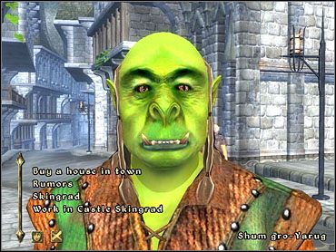 Od pilnującego cel strażnika dowiesz się, że kamerdyner hrabiego poszukuje kogoś do pracy w zamku - Oblivion: Lost Histories - The Elder Scrolls IV: Oblivion - poradnik do gry