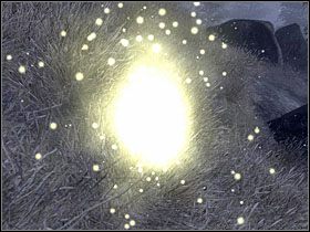 W środku musisz uporać się z czwórką wampirów - Oblivion: Azura; Boethia - Misje daedryczne - The Elder Scrolls IV: Oblivion - poradnik do gry