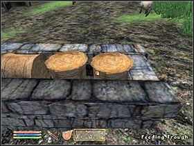 1 - Oblivion: Sheogorath; Vaermina - Misje daedryczne - The Elder Scrolls IV: Oblivion - poradnik do gry