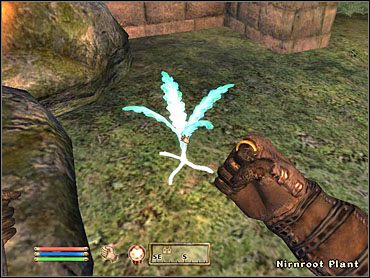 Sinderion każe ci przynieść 10 sztuk zioła i wskaże lasek nieopodal jako miejsce gdzie powinieneś rozpocząć jego poszukiwania - Oblivion: Inne (1) - Misje - The Elder Scrolls IV: Oblivion - poradnik do gry