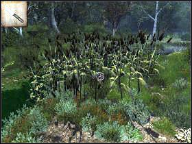 [57] - Tajemniczy teleskop (1) | 24 wrzesień | The Secrets of Da Vinci - The Secrets of Da Vinci: Zakazany manuskrypt - poradnik do gry