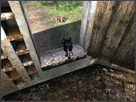 [82] - Kamień filozoficzny | 24 wrzesień | The Secrets of Da Vinci - The Secrets of Da Vinci: Zakazany manuskrypt - poradnik do gry