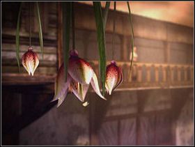 Podnieś migdały z ziemi i wrzuć je do młynka, który znajdziesz w wieży - PAŁAC KSIĄŻĘCY W MADARGANIE cz.4 | Paradise - Paradise - poradnik do gry