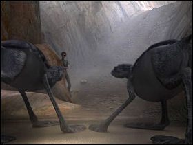 3 - DŻUNGLA | Paradise - Paradise - poradnik do gry