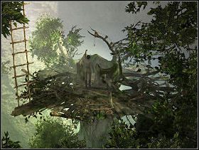 Zaczep linę na krańcu desek, zaraz obok drabinki - WIOSKA MOLGRAVEÓW cz.3 | Paradise - Paradise - poradnik do gry