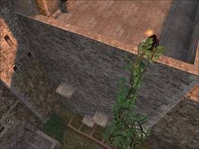 500 lat to sporo czasu. Szczególnie dla rosnącego drzewa. - Mont-Saint-Michel - Francja cz.6 | Onimusha 3 Demon Siege - Onimusha 3: Demon Siege - poradnik do gry
