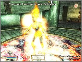 W Living Area znajdziesz rozbudowany ogród botaniczny, idealny dla alchemików (są tu nawet de facto niespotykane poza Otchłanią rośliny daedryczne) - Oblivion: Frostcrag Spire - The Elder Scrolls IV: Oblivion - poradnik do gry