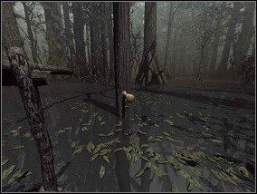 2 - Bagno - Amerzone: Testament Odkrywcy - poradnik do gry