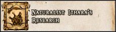 Sugerowany poziom postaci: 39 - 1.2.0 Zadania poboczne | Rozdział I w Broken World - Dungeon Siege II: Broken World - poradnik do gry