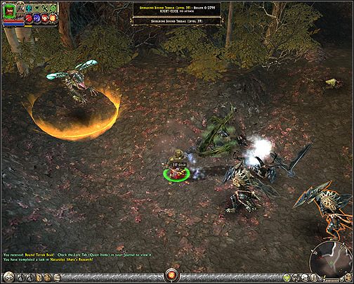 Zdobywanie próbek dla Ithary - 1.2.4 Naturalist Itharas Research | Rozdział I w Broken World - Dungeon Siege II: Broken World - poradnik do gry